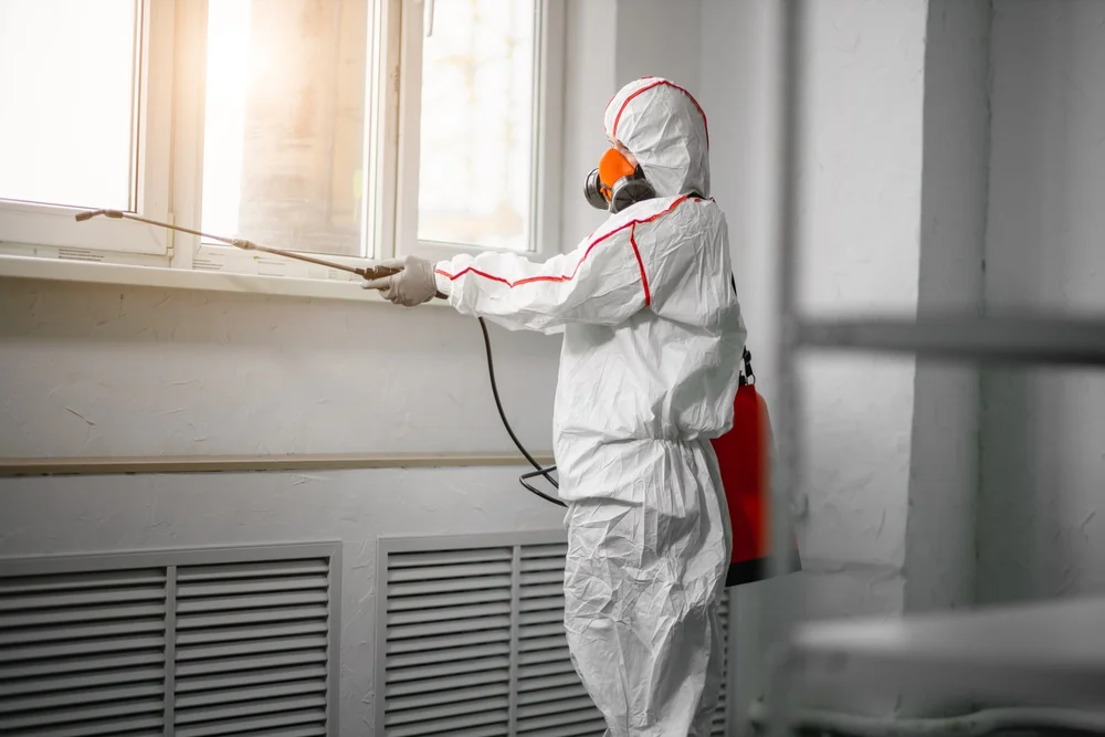 Professional mold remediation services in Bad Axe, MI